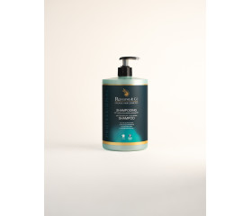 R&C Anti-Dandruff shampoo 1000ml
