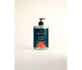 R&C Shampoo Specific Colored Hair 1000ml